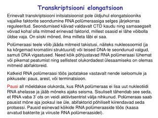 Transkriptsiooni elongatsioon