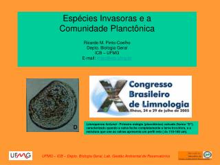 Espécies Invasoras e a Comunidade Planctônica Ricardo M. Pinto-Coelho Depto. Biologia Geral