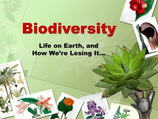 Biodiversity