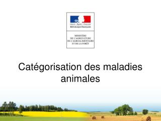 Catégorisation des maladies animales