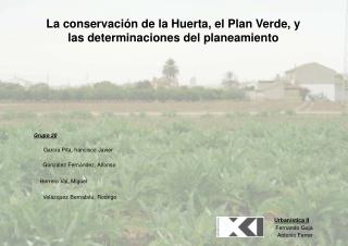 La conservación de la Huerta, el Plan Verde, y las determinaciones del planeamiento