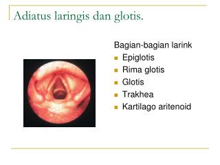 Adiatus laringis dan glotis.