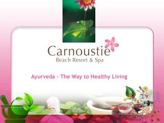 Ayurveda – The Way to Healthy Living