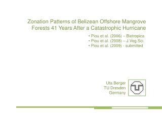Zonation Patterns of Belizean Offshore Mangrove Forests 41 Years After a Catastrophic Hurricane