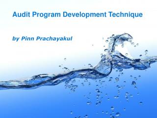 Audit Program Development Technique by Pinn Prachayakul