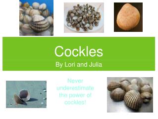 Cockles