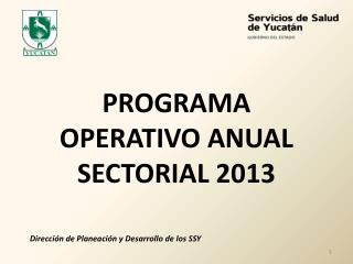 PROGRAMA OPERATIVO ANUAL SECTORIAL 2013