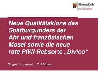 Siegmund Lawnik, DLR Mosel