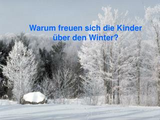 Warum freuen sich die Kinder ü ber den Winter?