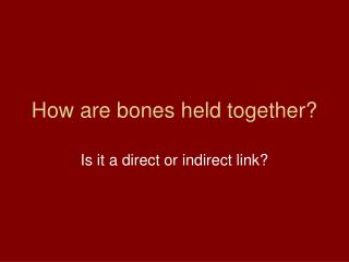 How are bones held together?