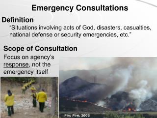 Emergency Consultations