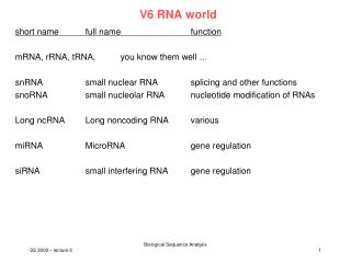 V6 RNA world