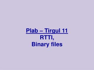 Plab – Tirgul 11 RTTI, Binary files