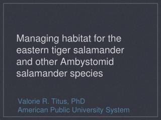 Managing habitat for the eastern tiger salamander and other Ambystomid salamander species