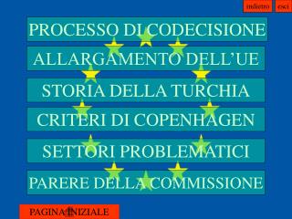 PARERE DELLA COMMISSIONE