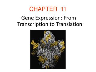 CHAPTER 11