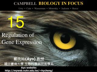 Regulation of Gene Expression