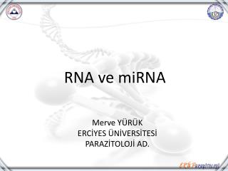 RNA ve miRNA