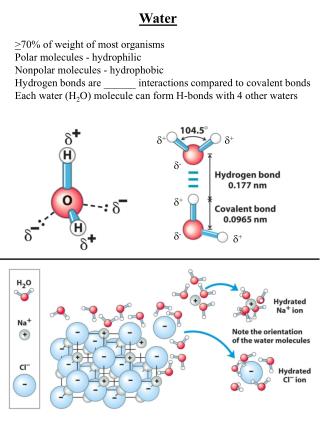 PPT - Polar and Nonpolar Covalent Bonds PowerPoint Presentation - ID ...