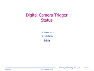 Digital Camera Trigger Status