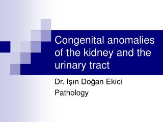 Congenital anomalies of the kidney and the urinary tract