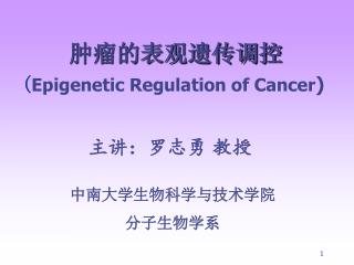 肿瘤的表观遗传调控 ( Epigenetic Regulation of Cancer )