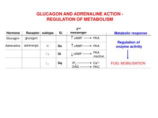 Glucagon Adrenaline