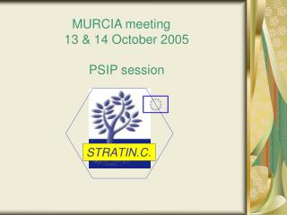 MURCIA meeting 13 &amp; 14 October 2005 PSIP session