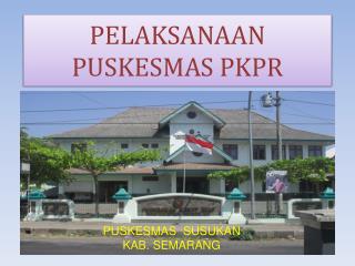 PELAKSANAAN PUSKESMAS PKPR