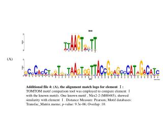 Additional file 4: (A), the alignment match logo for element Ⅰ: