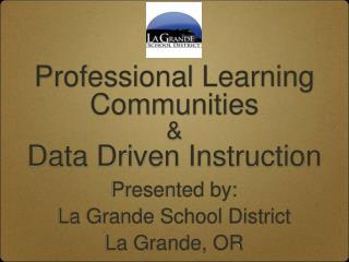 Professional Learning Communities &amp; Data Driven Instruction