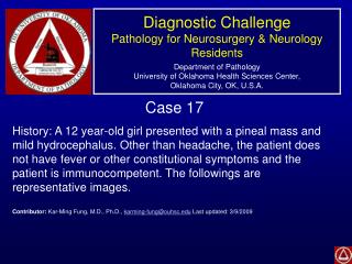 Case 17