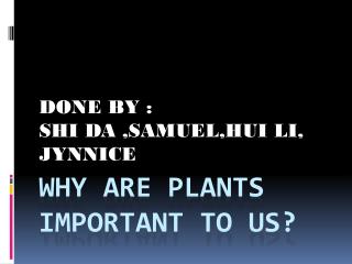 Why are plants important to us?