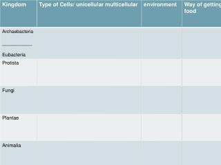 classification of organisms WS