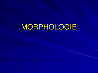 MORPHOLOGIE