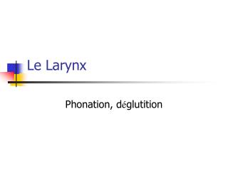 Le Larynx