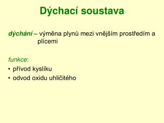 Dýchací soustava