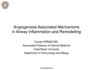 Angiogenesis Associated Mechanisms in Airway Inflammation and Remodelling
