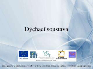 Dýchací soustava