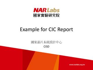 Example for CIC Report