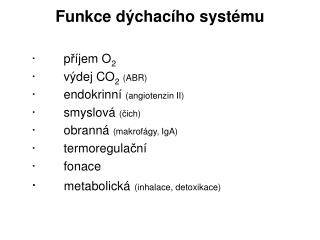 Funkce dýchacího systému