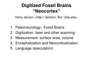 Digitized Fossil Brains “Neocortex”