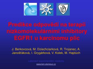 Predikce odpovědi na terapii nízkomolekulárními inhibitory EGFR1 u karcinomu plic