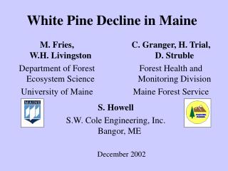 White Pine Decline in Maine