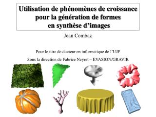 Utilisation de phénomènes de croissance pour la génération de formes en synthèse d’images