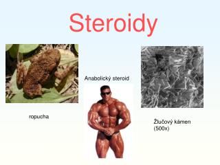 Steroidy