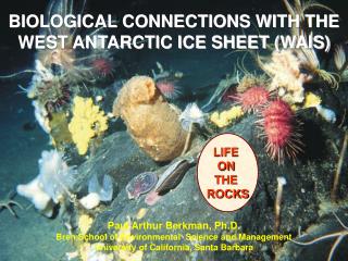 BIOLOGICAL CONNECTIONS WITH THE WEST ANTARCTIC ICE SHEET (WAIS)