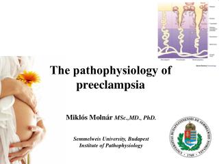 Τhe pathophysiology of preeclampsia