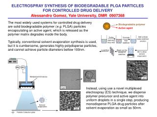 Biodegradable polymer Active agent