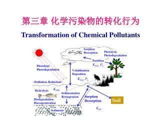 第三章 化学污染物的 转化行为 Transformation of Chemical Pollutants